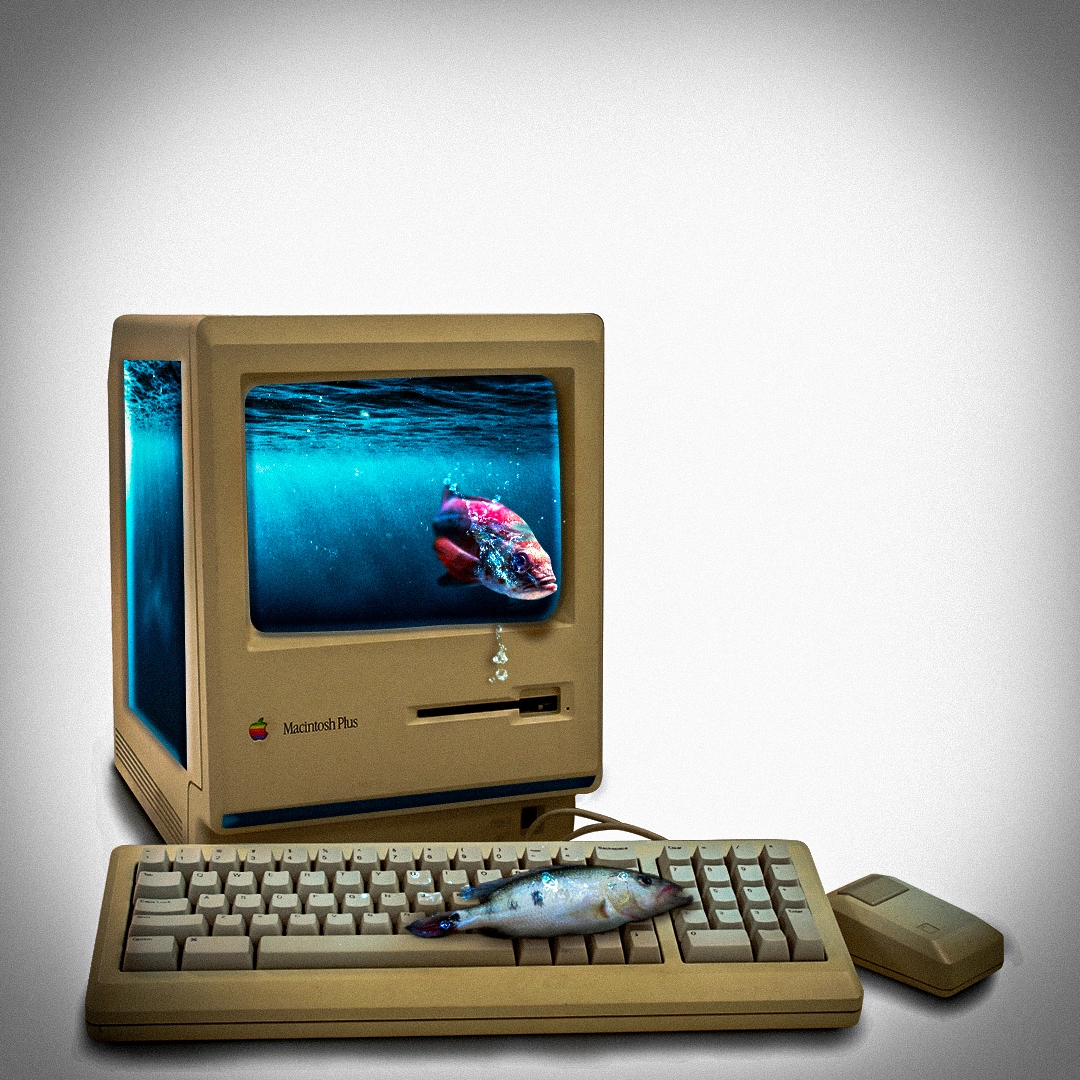 Machintos Acquarium